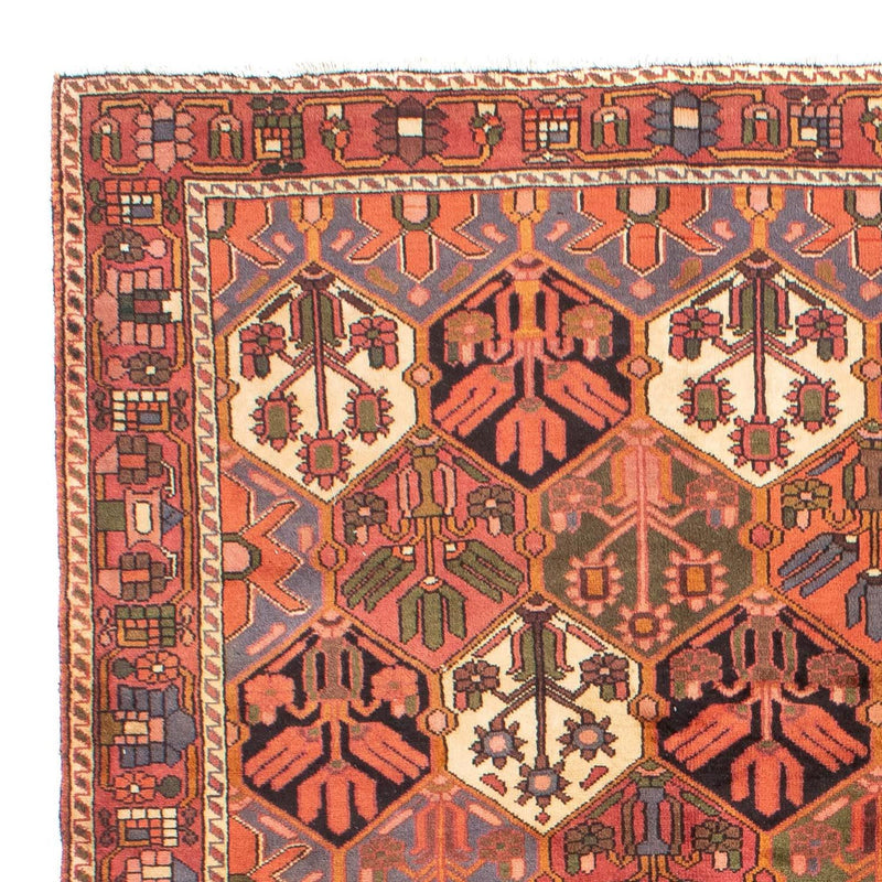 Persisk matta - Nomadic - 297 x 205 cm - brun