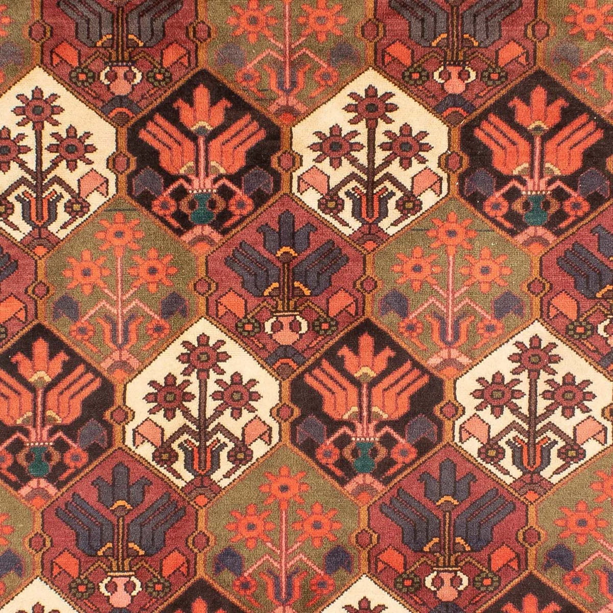 Persisk matta - Nomadic - 287 x 207 cm - brun