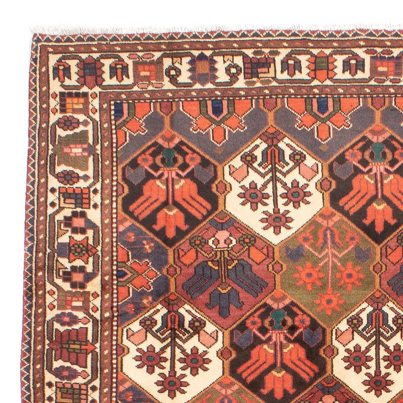 Bakhtiari Mattan 287x207cm - Persisk matta