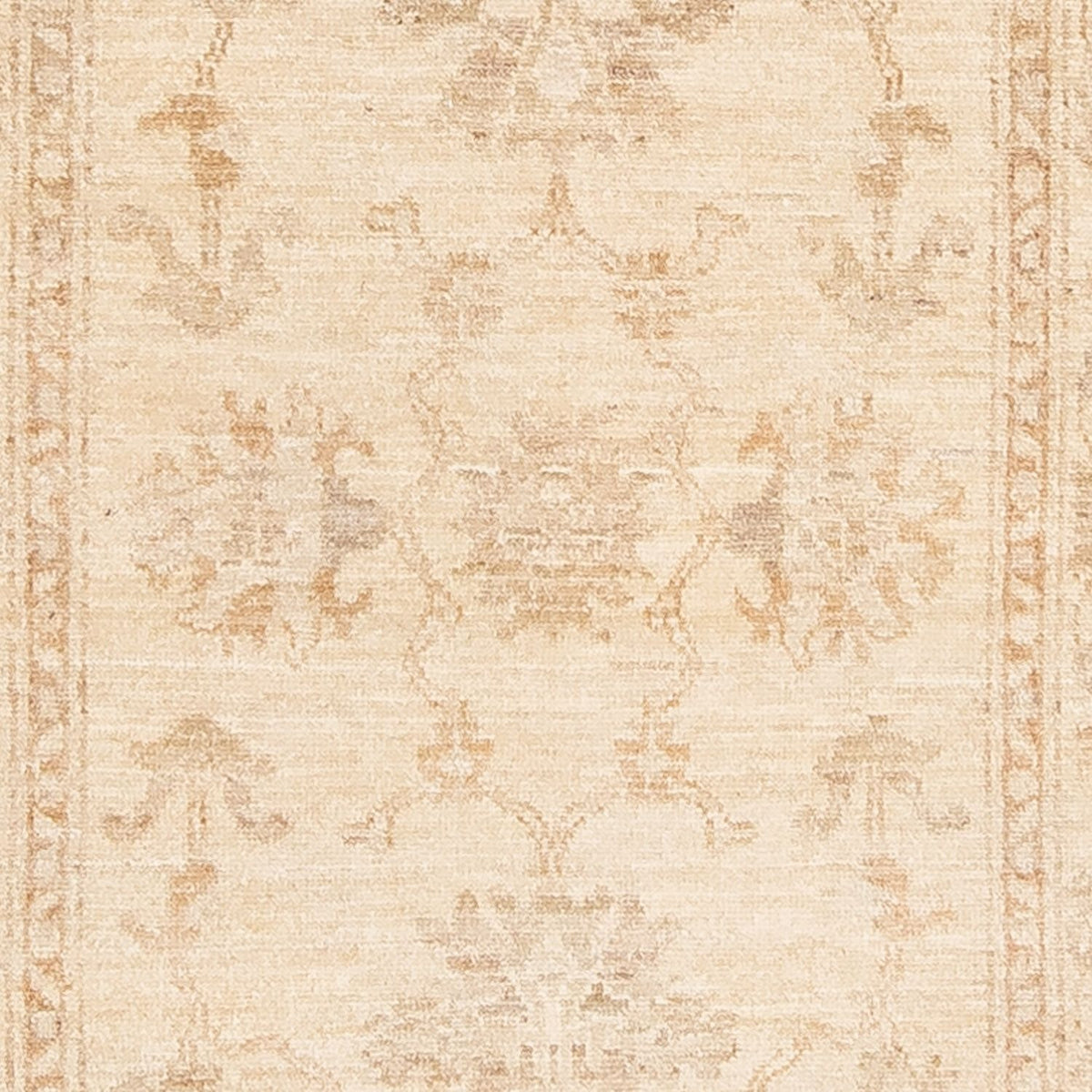 Runner Ziegler Carpet - 249 x 79 cm - beige