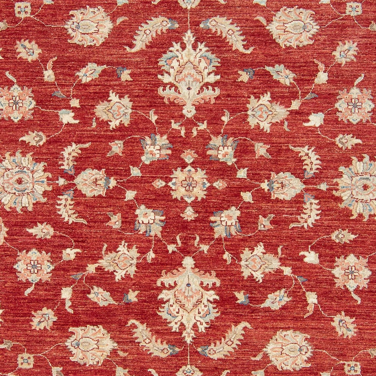 Ziegler Carpet - 295 x 250 cm - mörkröd