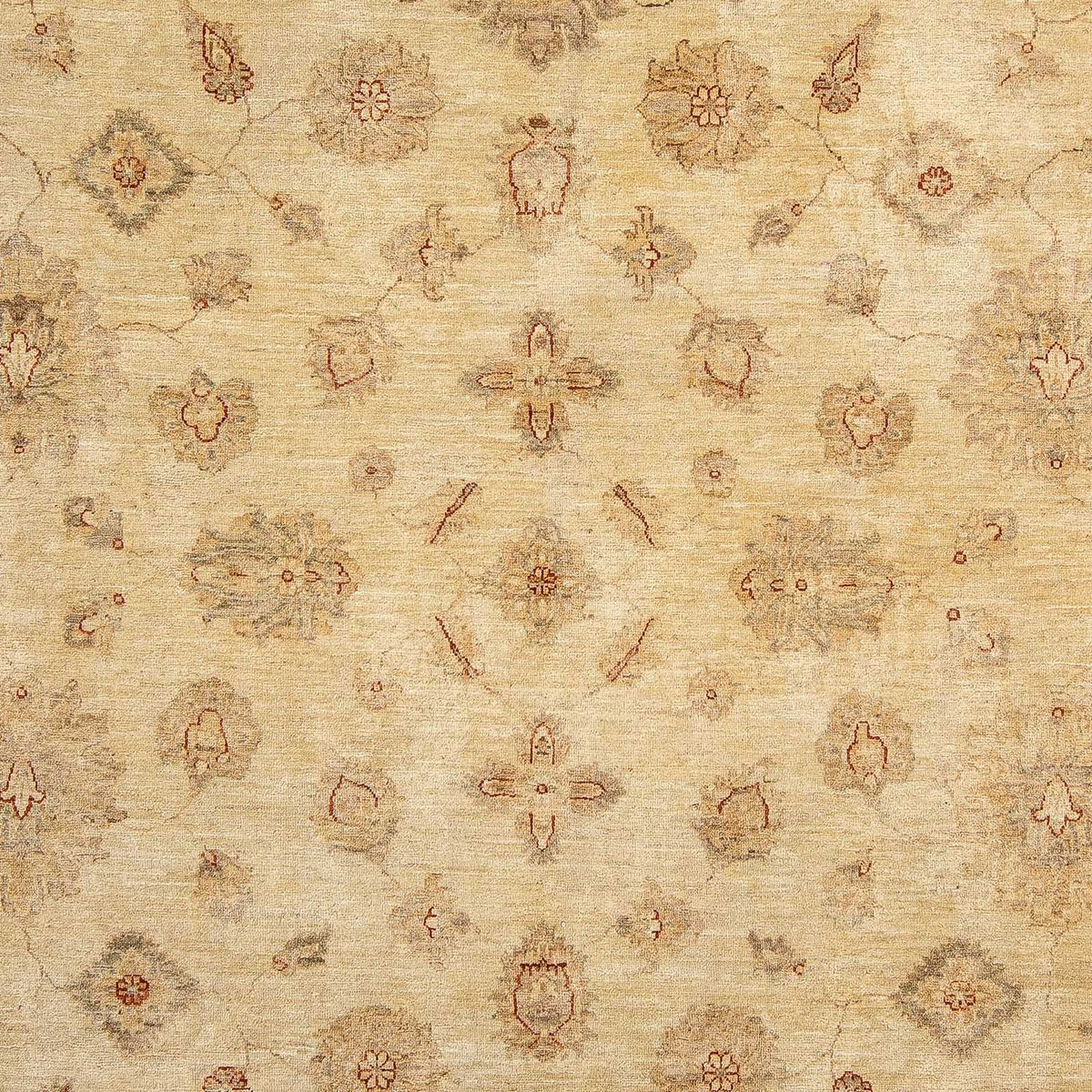 Ziegler Carpet - 303 x 246 cm - ljusbrun