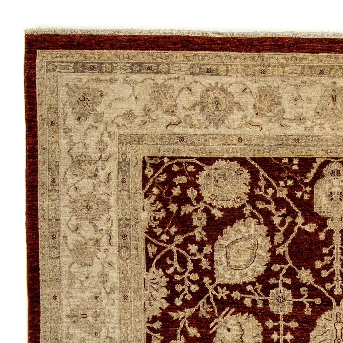 Ziegler Carpet 242x296cm - Oriental Carpet