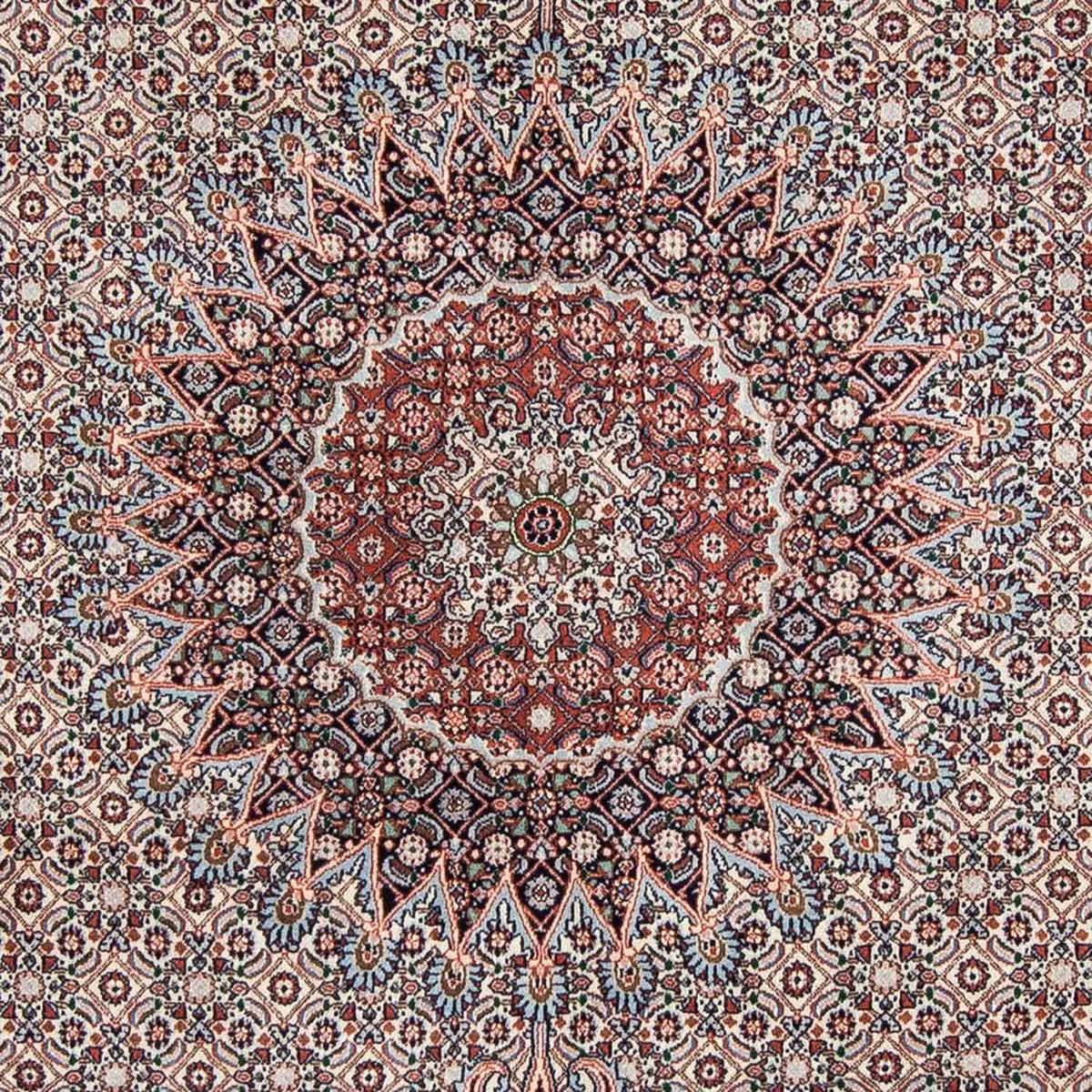 Persisk matta - Classic - 272 x 215 cm - beige