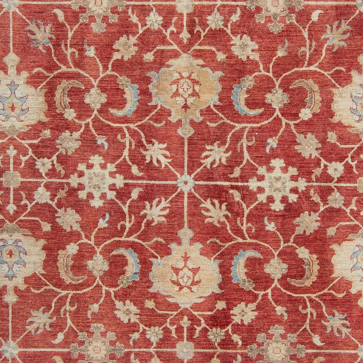 Ziegler Carpet - 318 x 244 cm - rost