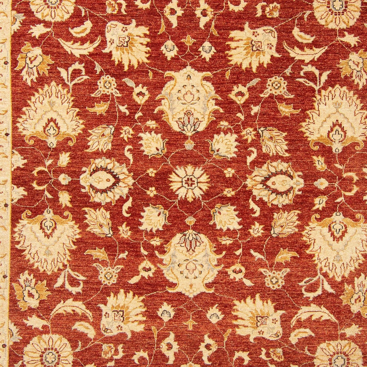 Ziegler Carpet - 350 x 277 cm - röd
