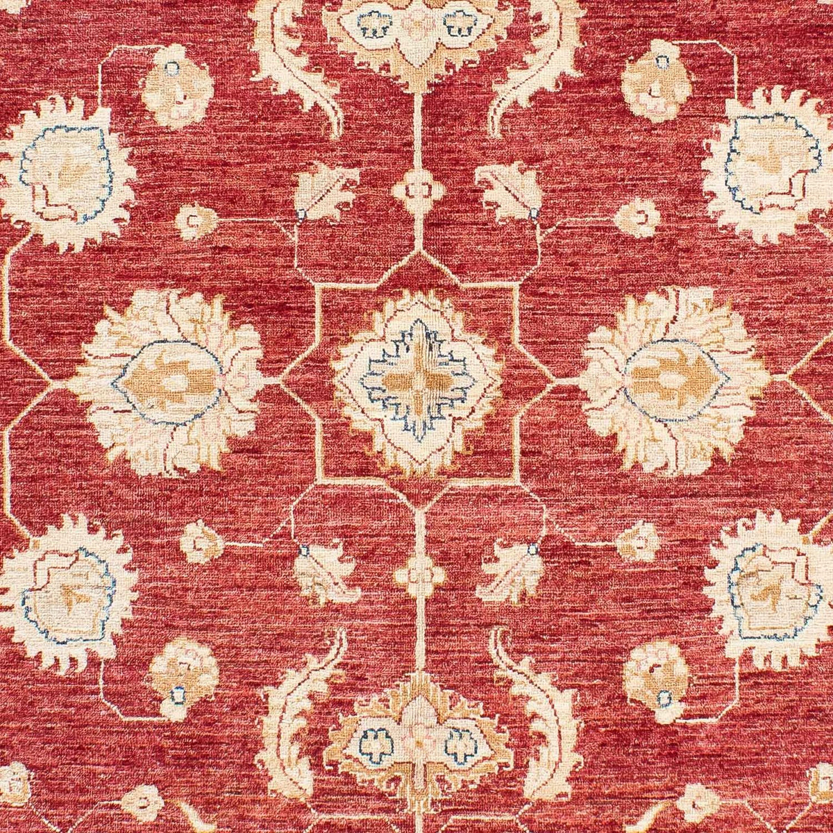Ziegler Carpet - 237 x 169 cm - mörkröd