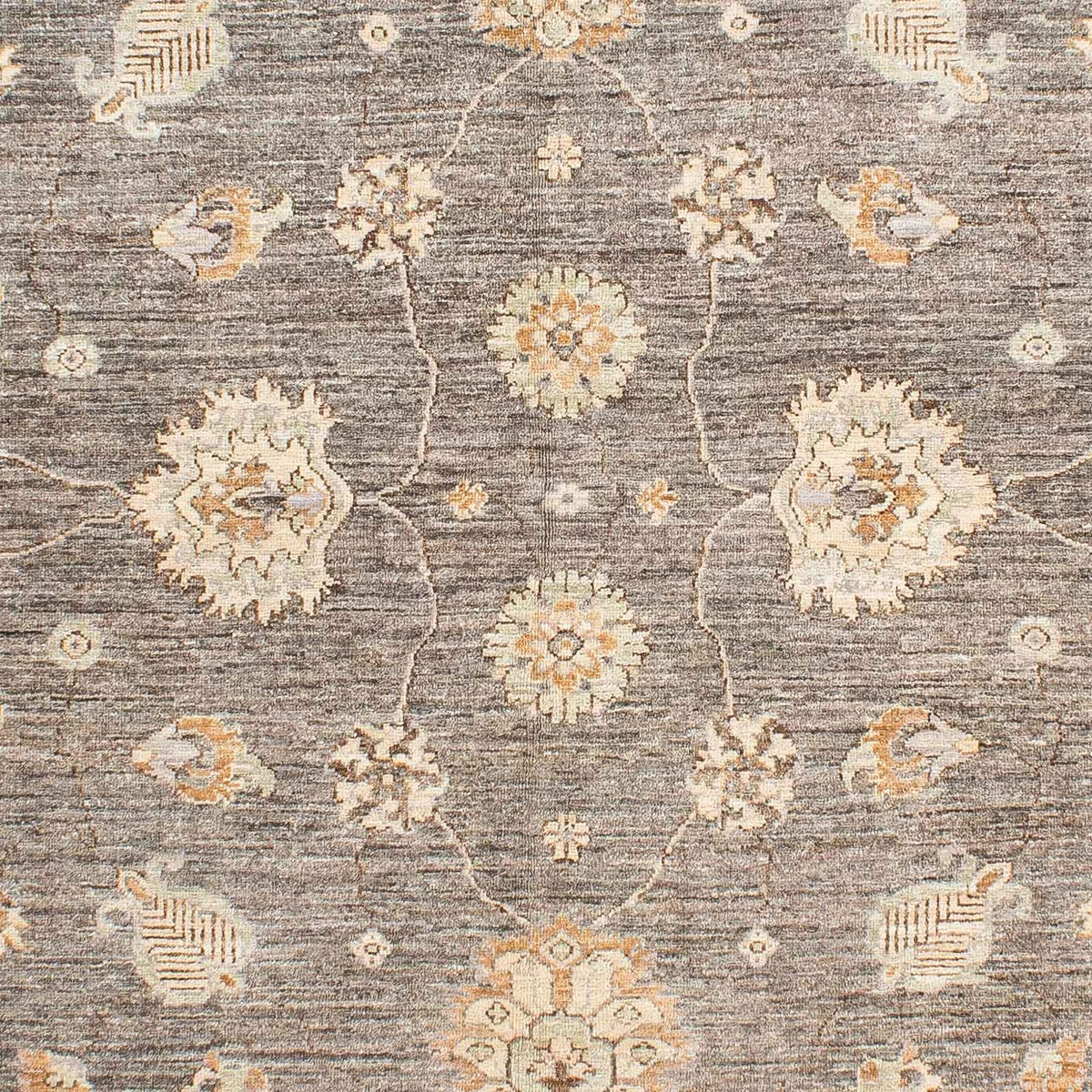Ziegler Carpet - 242 x 173 cm - beige