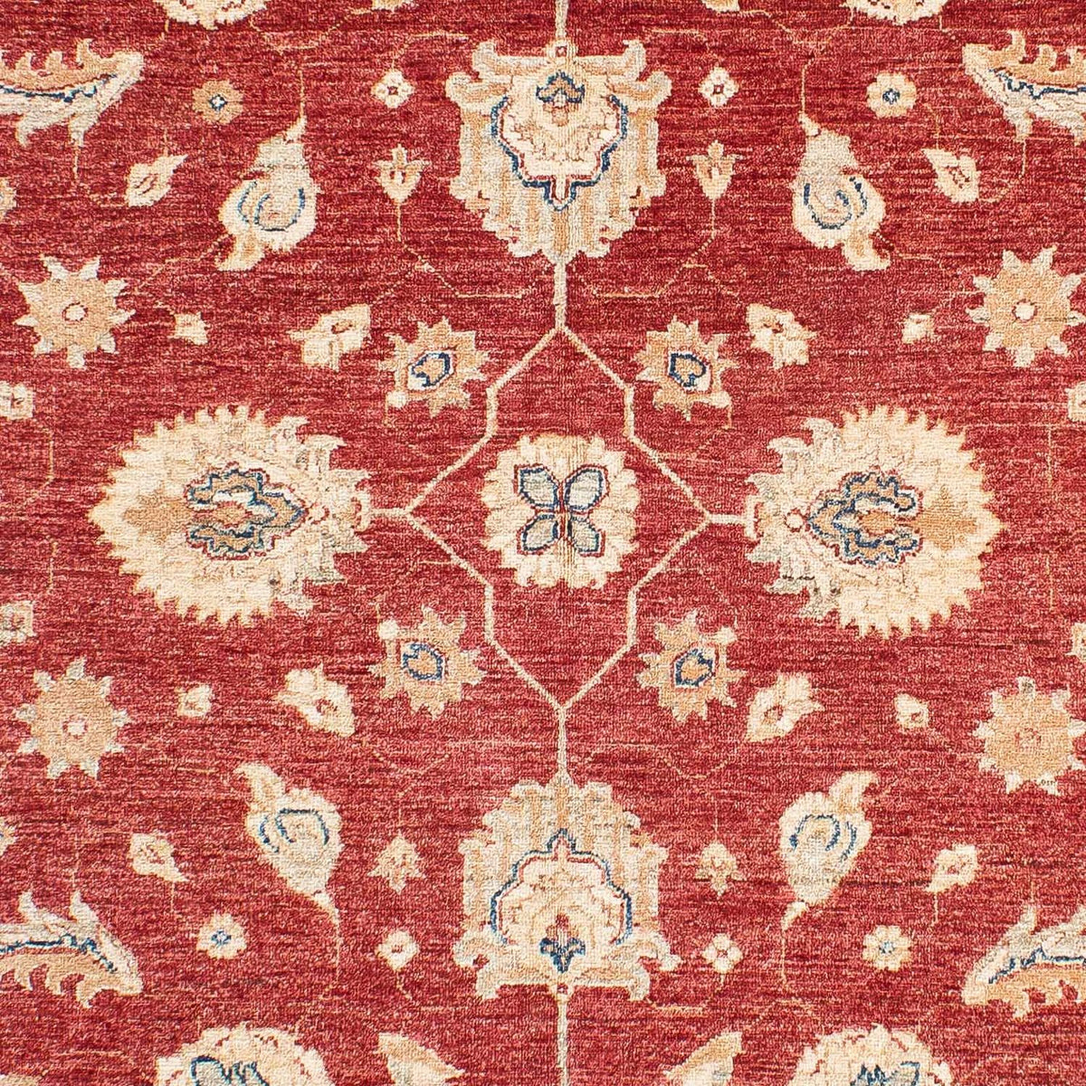 Ziegler Carpet - 234 x 167 cm - mörkröd
