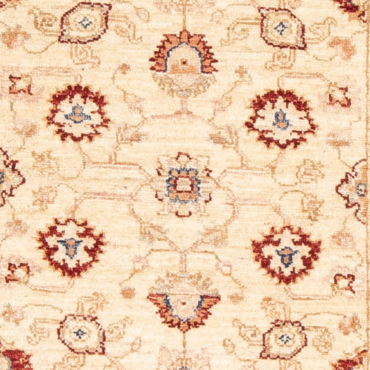 Runner Ziegler Carpet - 248 x 79 cm - beige