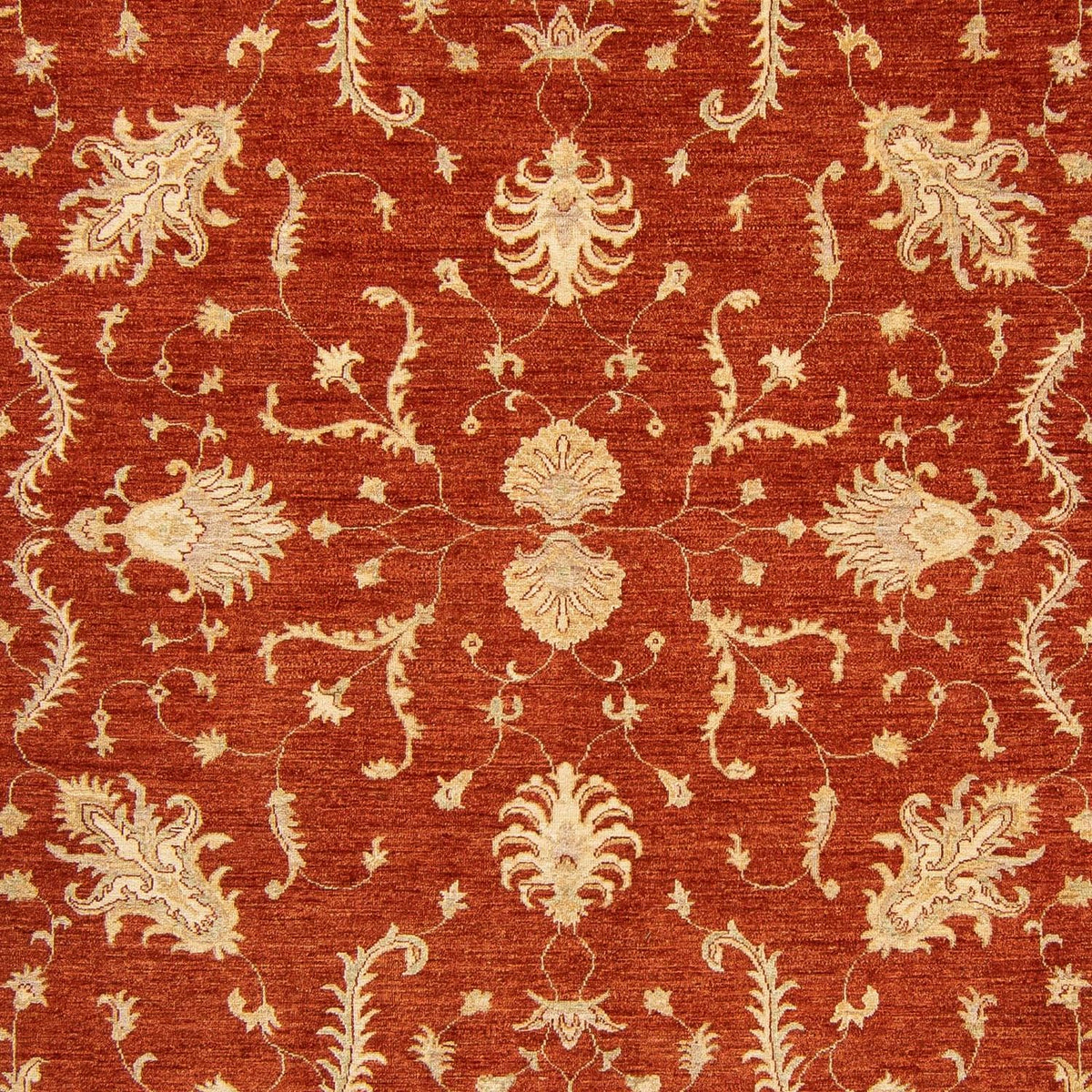Ziegler Carpet - 350 x 254 cm - mörkröd