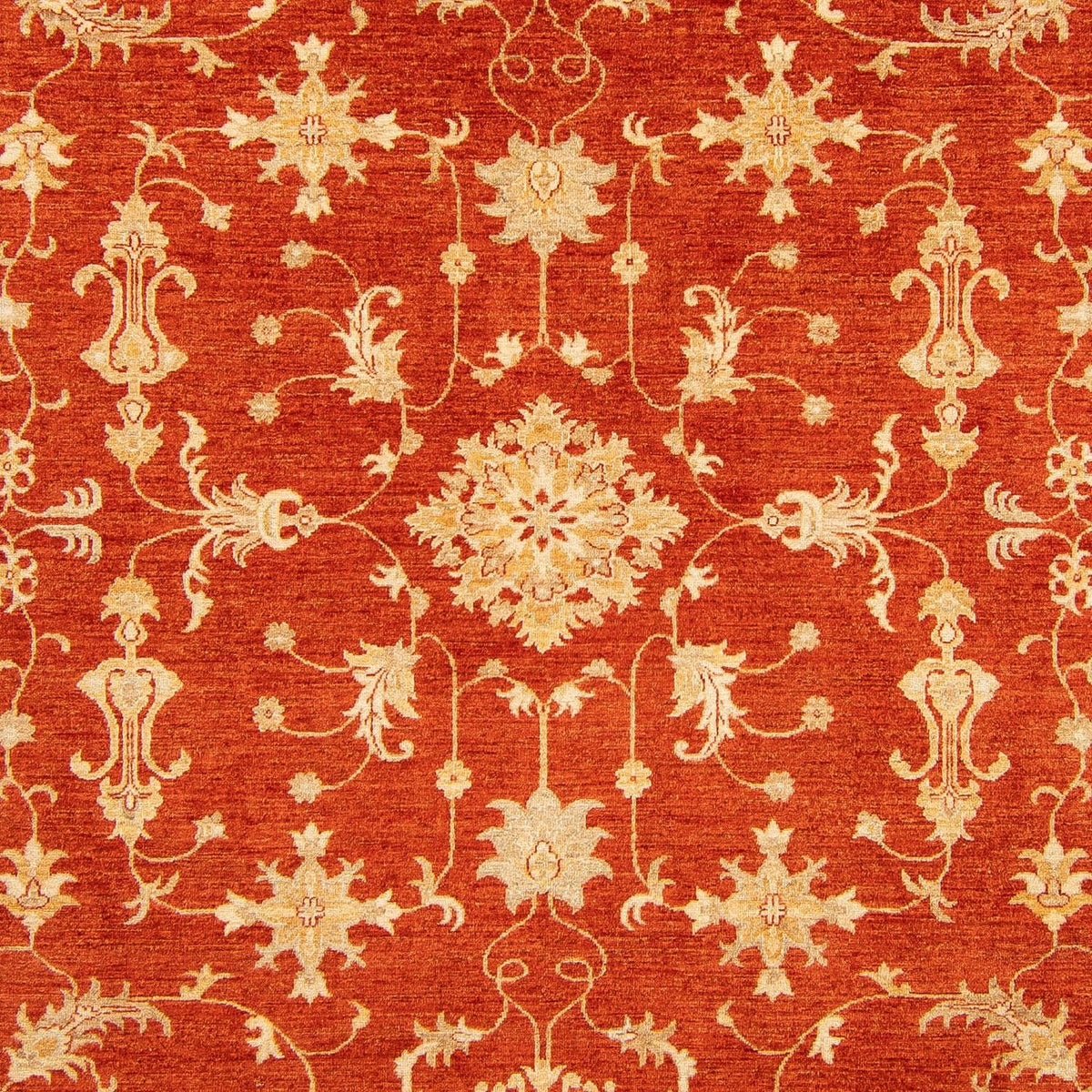 Ziegler Carpet - 345 x 245 cm - röd