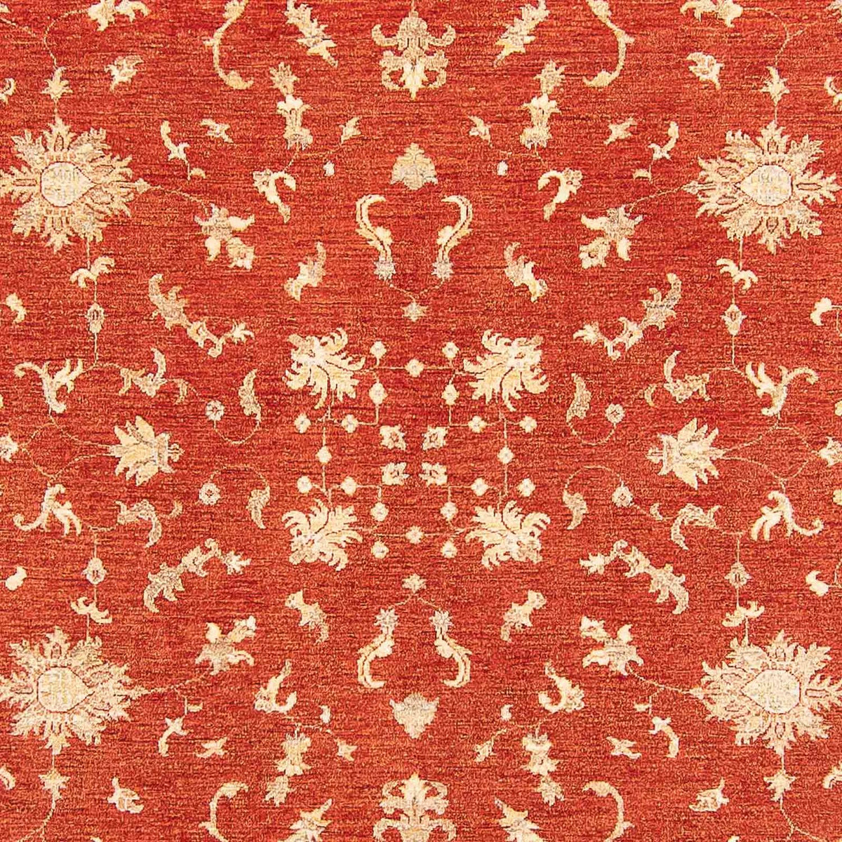 Ziegler Carpet - 341 x 250 cm - rost
