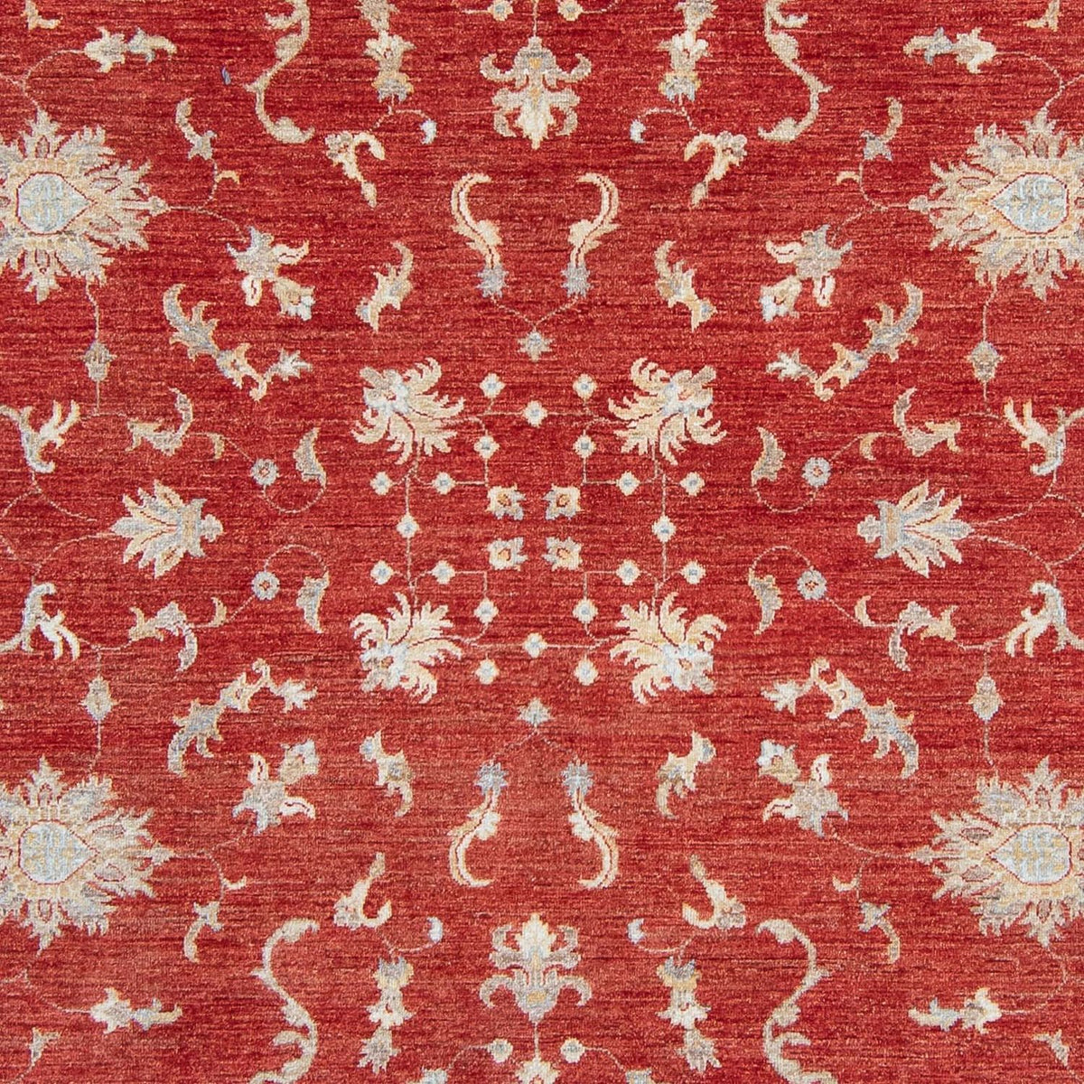 Ziegler Carpet - 292 x 242 cm - röd