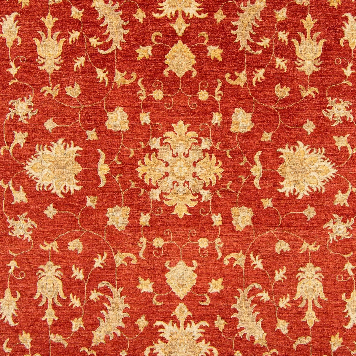 Ziegler Carpet - 346 x 243 cm - röd