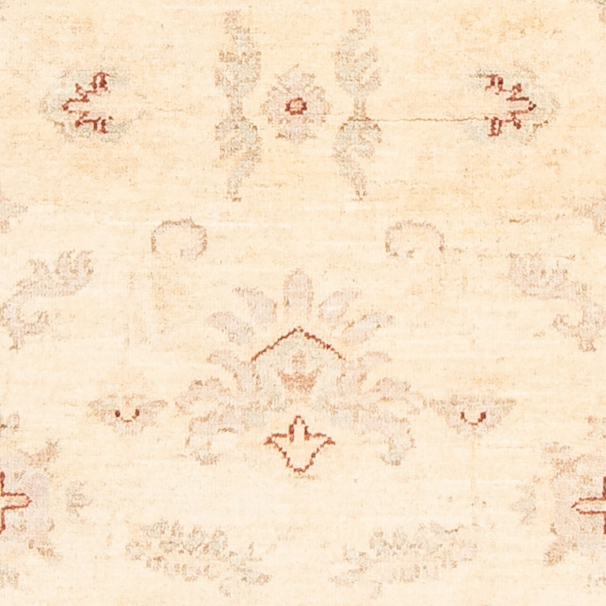 Runner Ziegler Carpet - 239 x 74 cm - beige