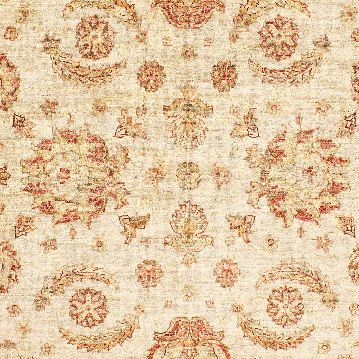 Ziegler Carpet - 241 x 162 cm - beige
