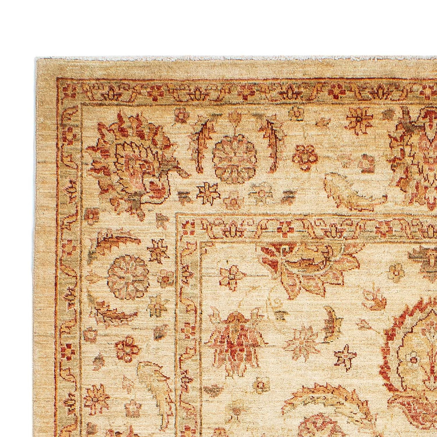 Ziegler Carpet 241x162cm - Oriental Carpet