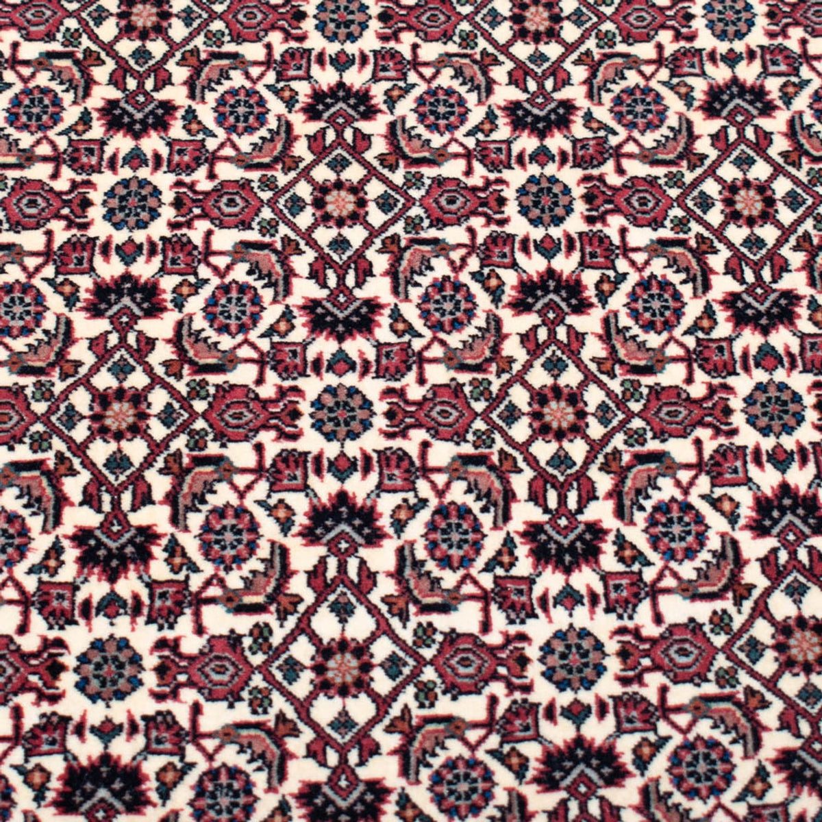 Persisk matta - Bijar - Royal kvadrat  - 366 x 348 cm - beige