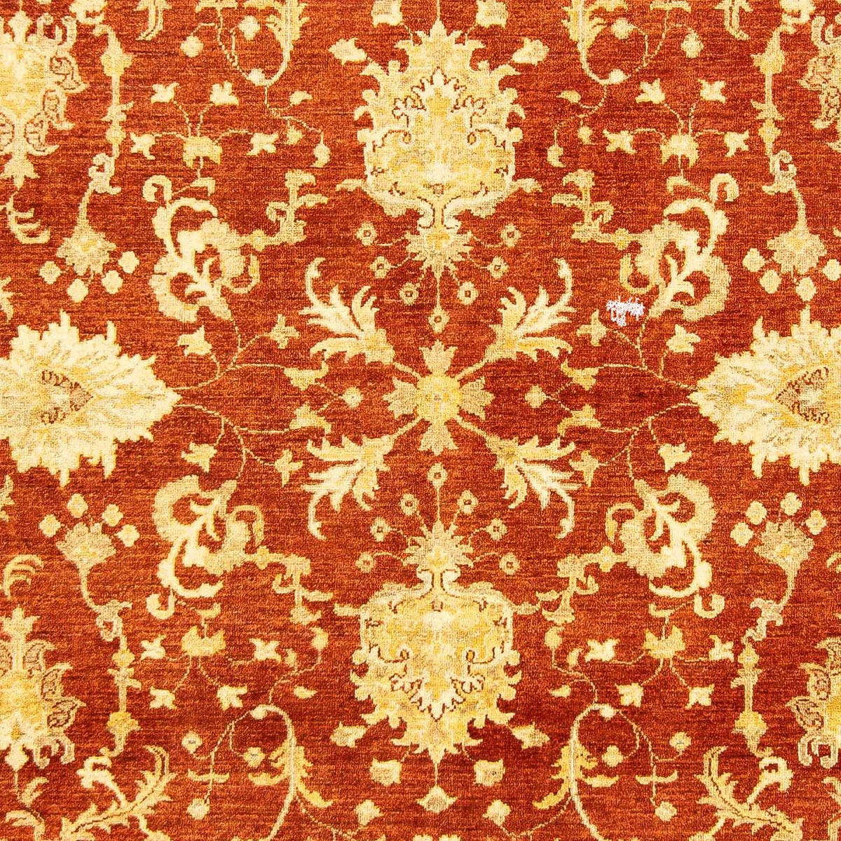 Ziegler Carpet - 251 x 198 cm - mörkröd