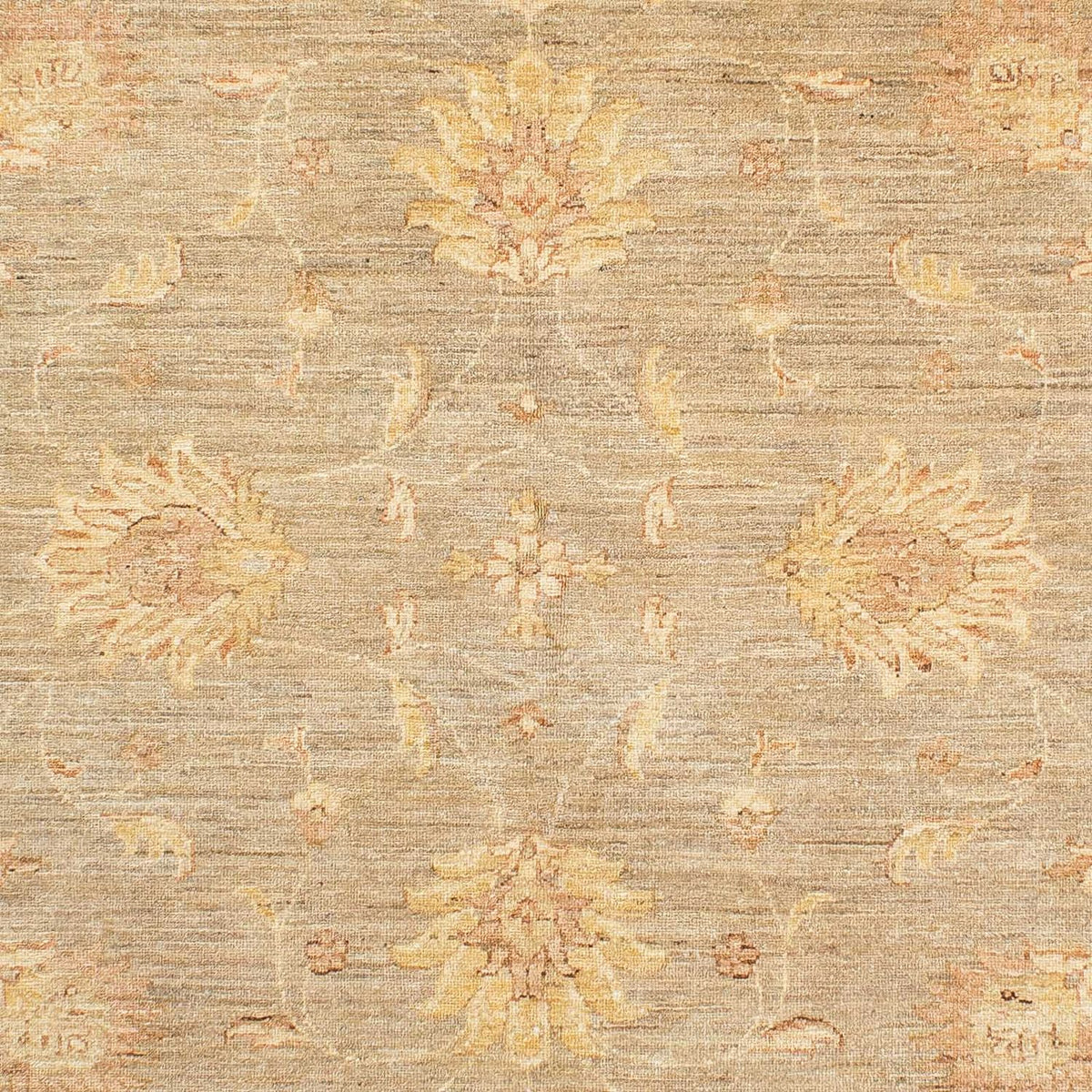 Ziegler Carpet - 241 x 175 cm - beige
