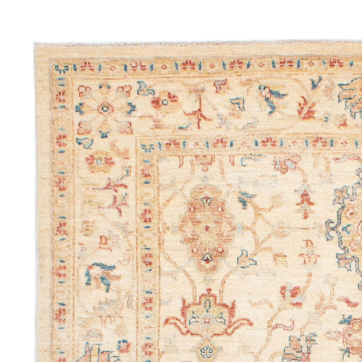 Kazak Mattan 167x230cm - Oriental Carpet