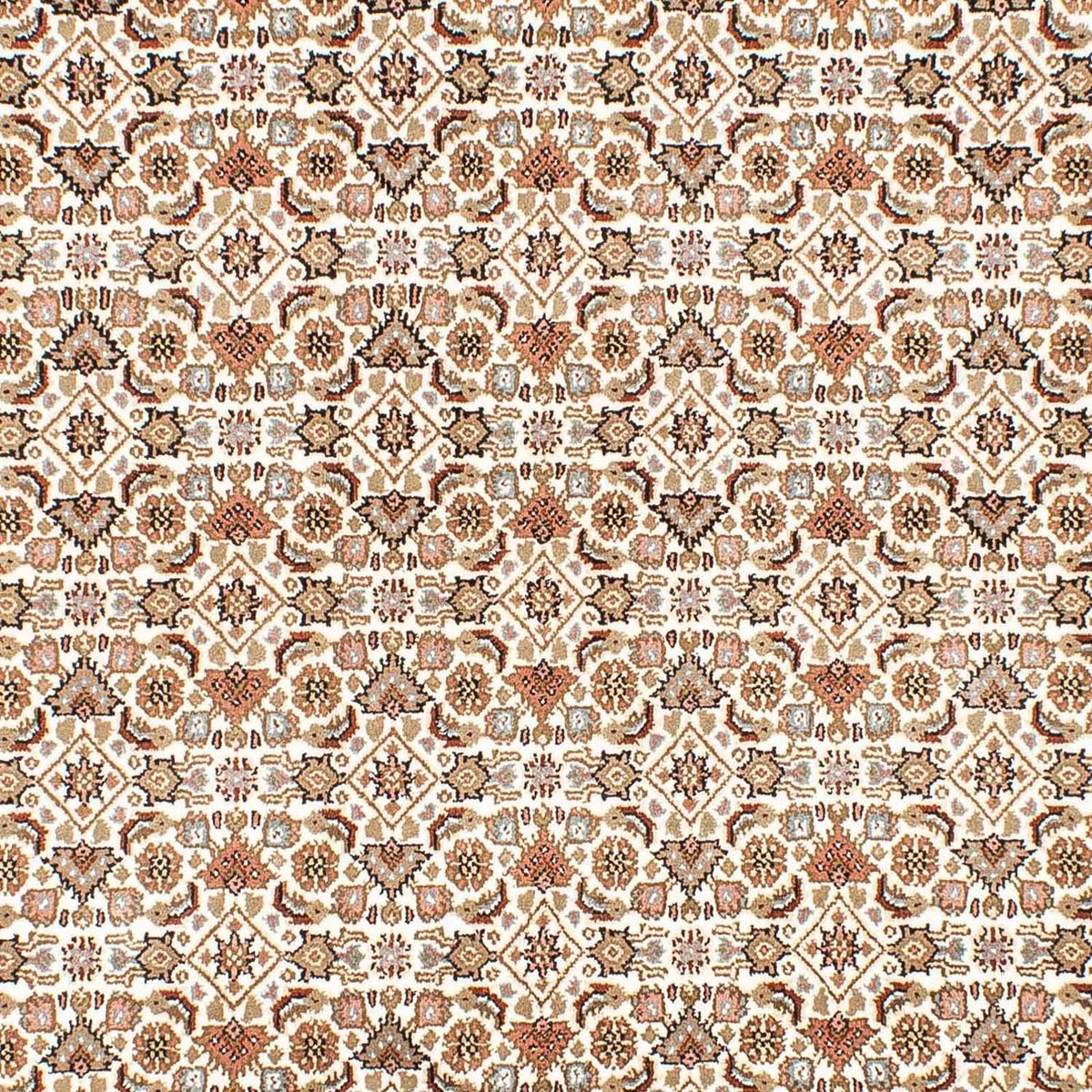 Persisk matta - Bijar - 304 x 203 cm - beige