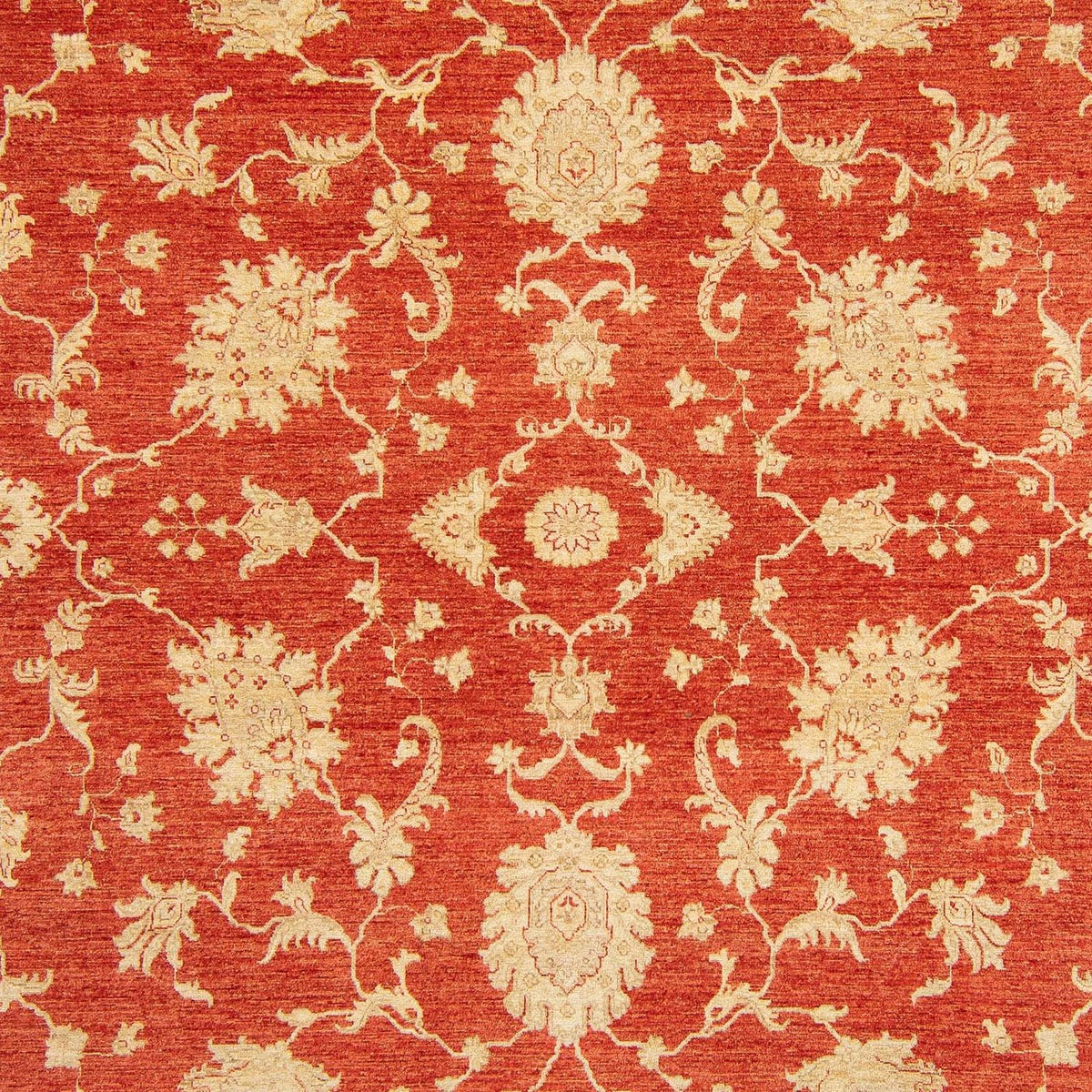 Ziegler Carpet - Kazak - 363 x 276 cm - röd