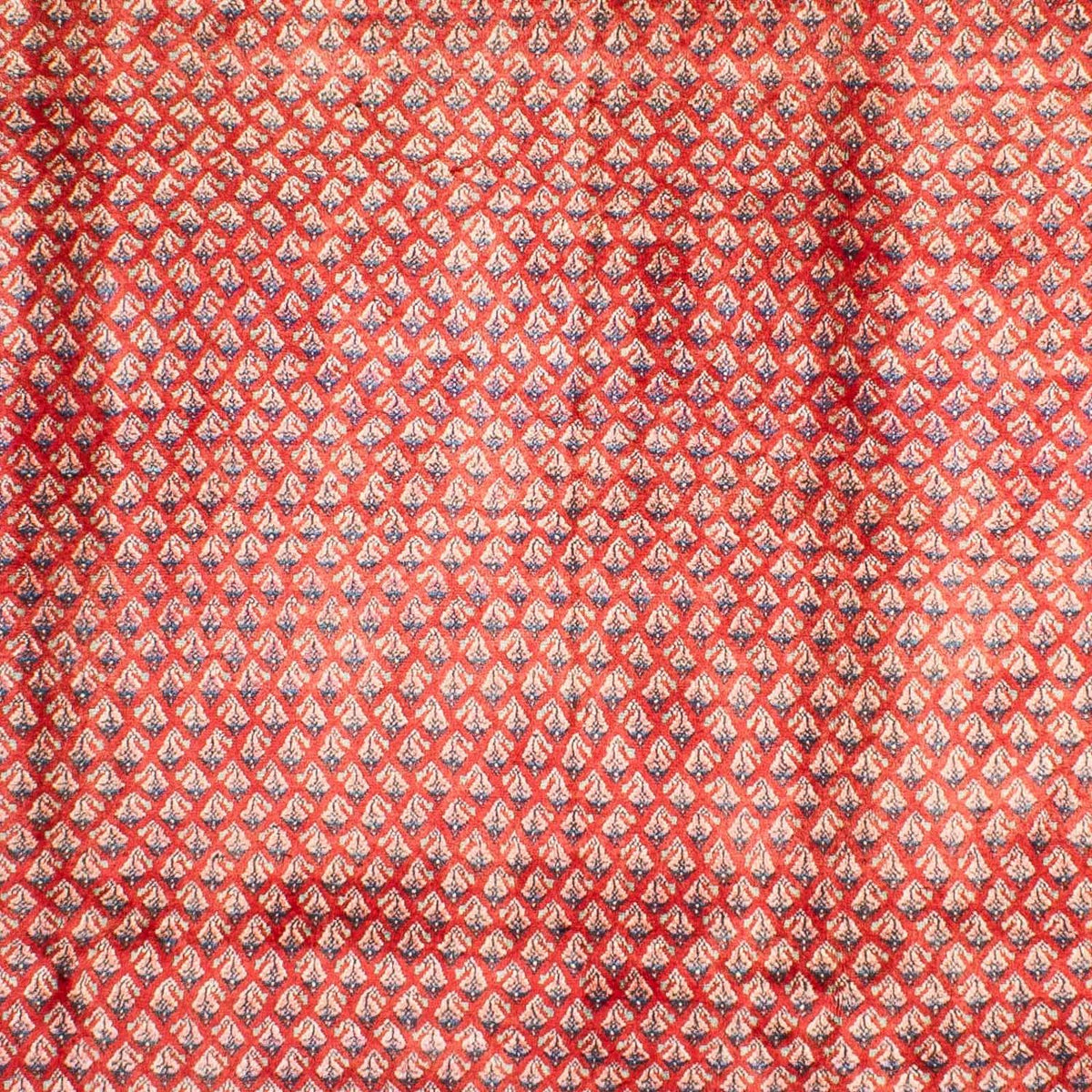 Persisk matta - Mir - 308 x 211 cm - mörkröd