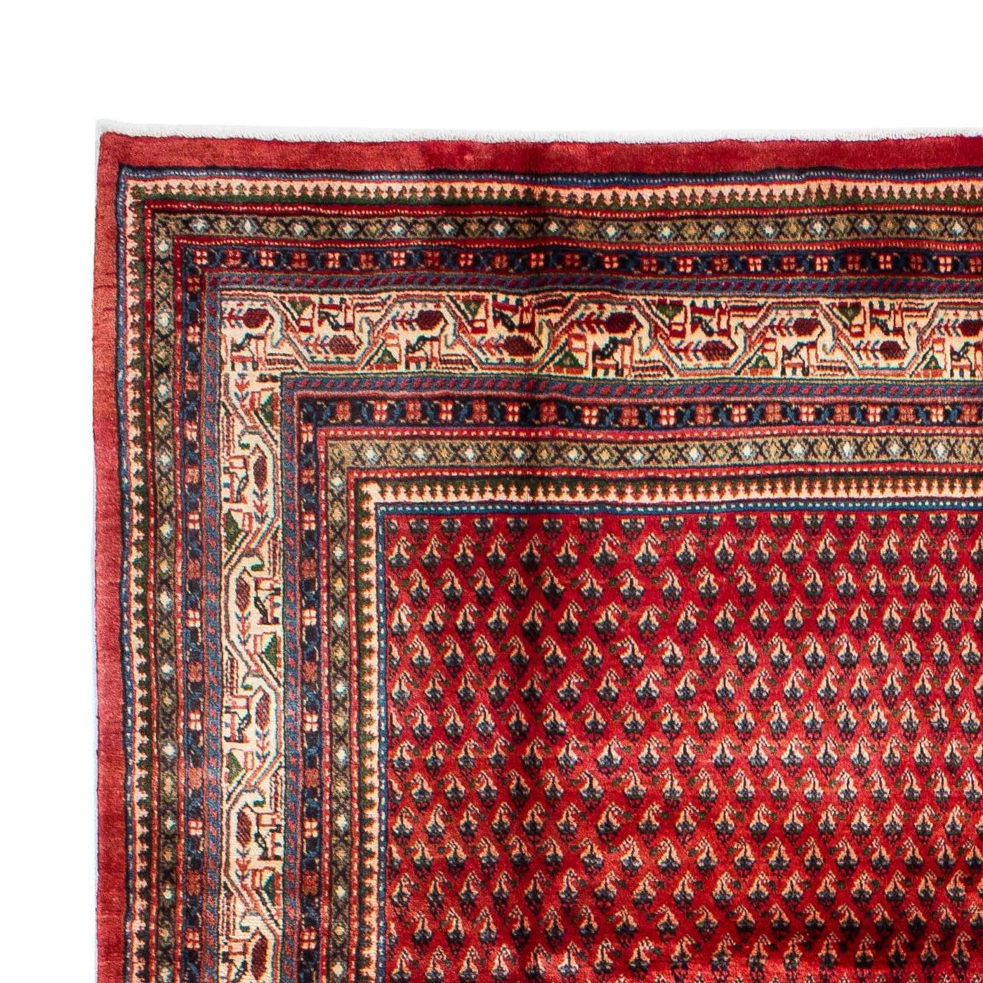 Mir Mattan 329x214cm - Persisk matta