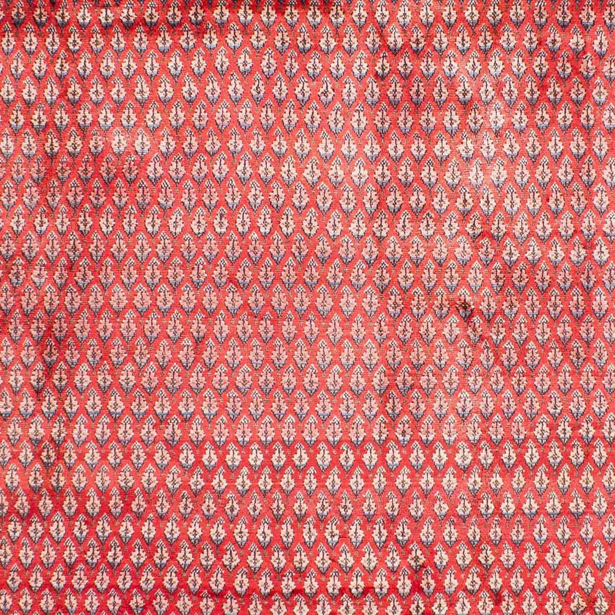 Persisk matta - Mir - 317 x 219 cm - röd