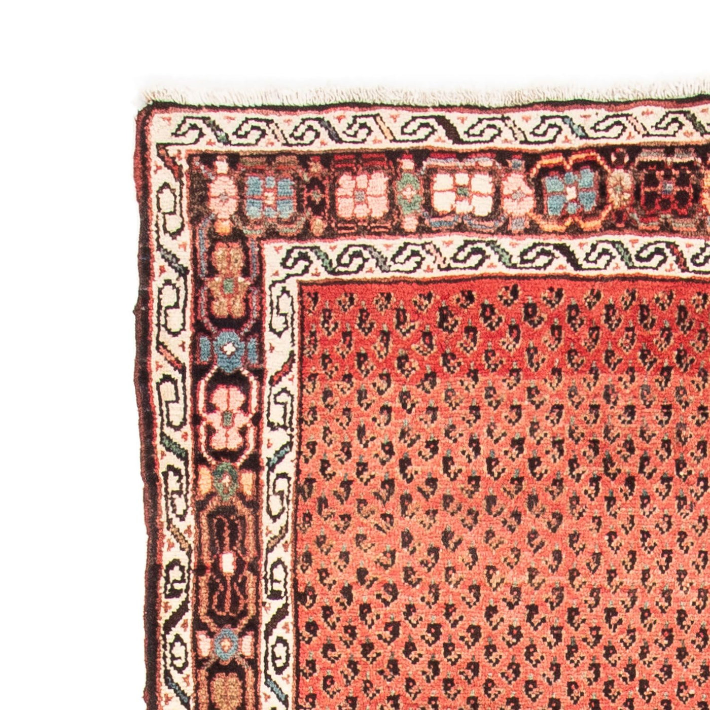 Runner Persisk matta - Nomadic - 290 x 106 cm - ljusröd