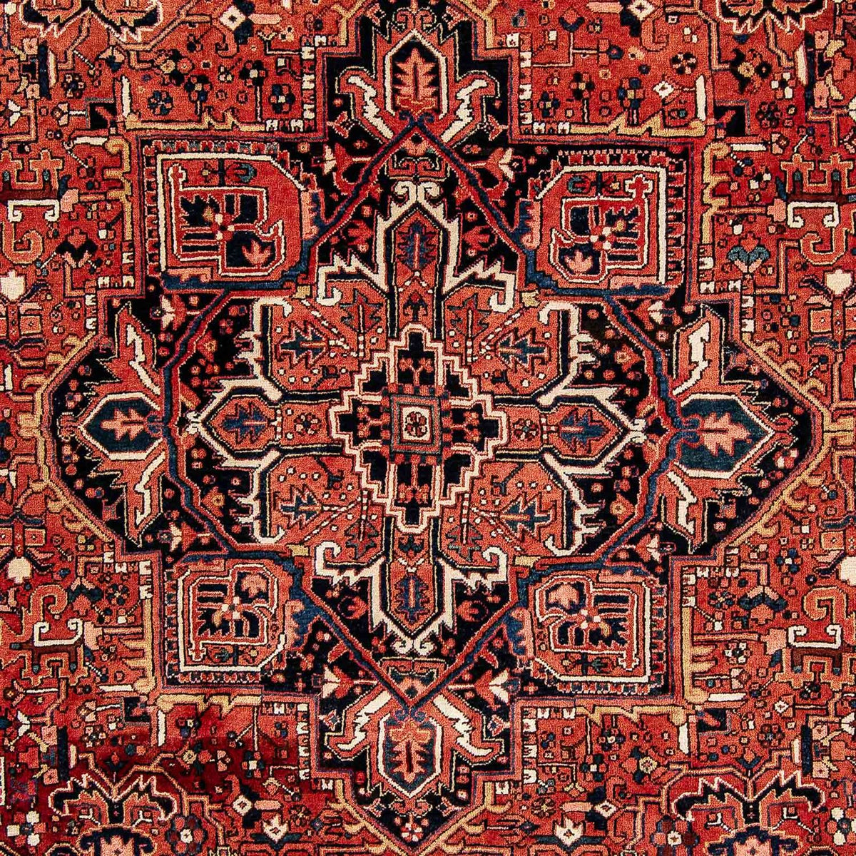 Persisk matta - Nomadic - 386 x 262 cm - rost