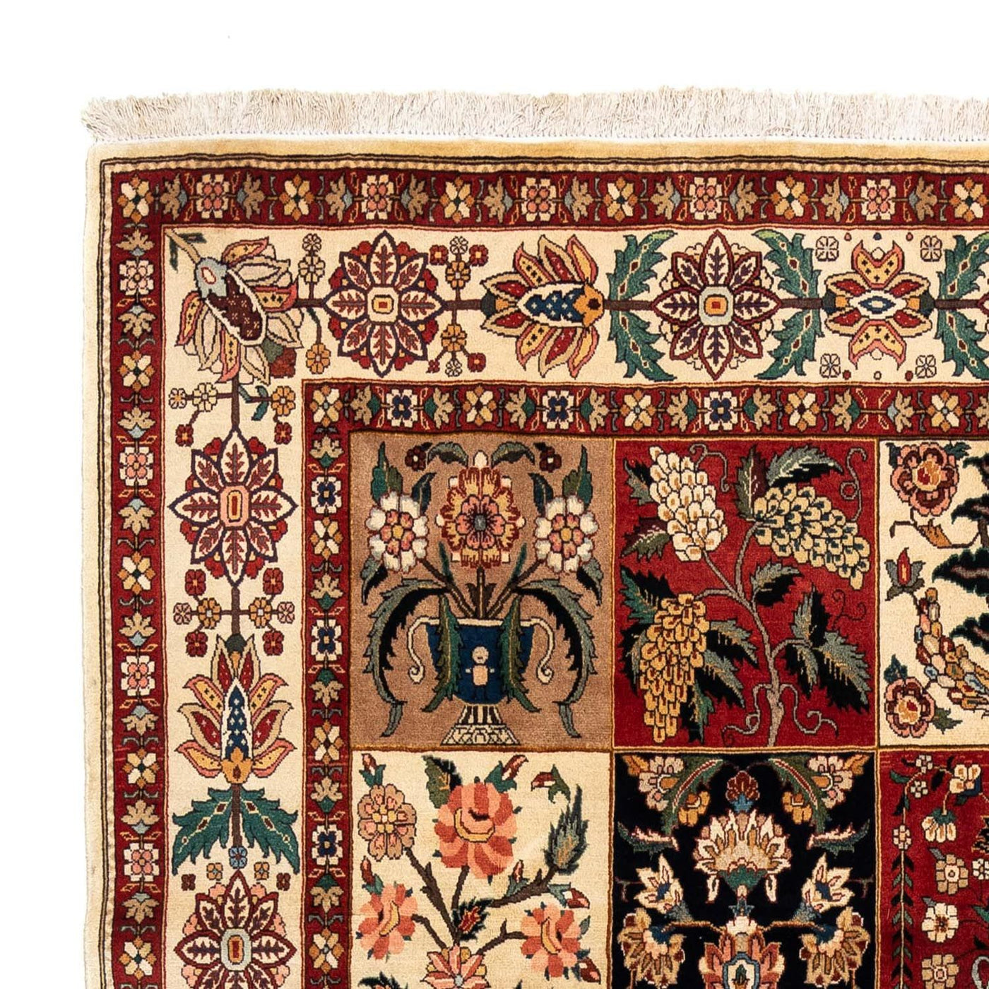 Qom Mattan 313x209cm - Persisk matta